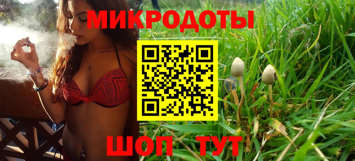 купить наркоту  Вход с VPN  Хасавюрт  Галлюциногенные грибы прущие грибы  Галлюциногенные грибы MAGIC MUSHROOMS 